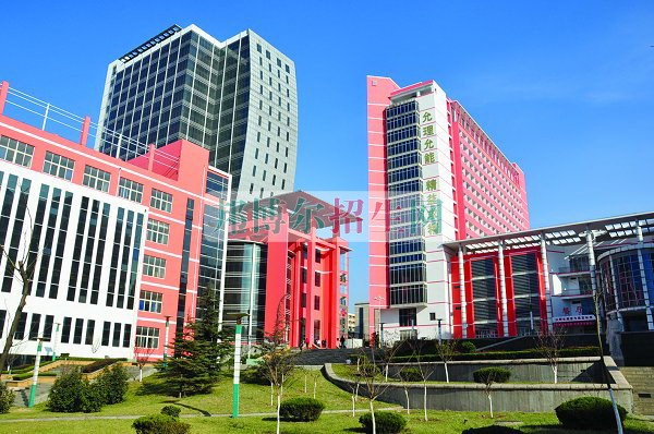 醫學美容好嗎
