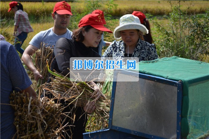 川北幼兒師范高等?？茖W校歲月積淀中的魅力女性