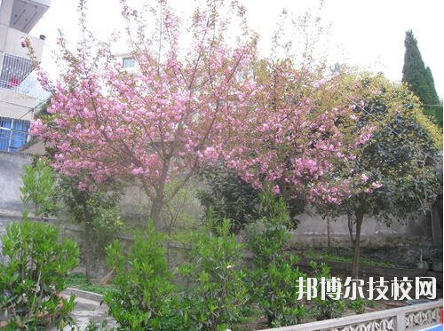 嵐皋縣中等職業(yè)技術(shù)學(xué)校2020年報名條件、招生要求、招生對象