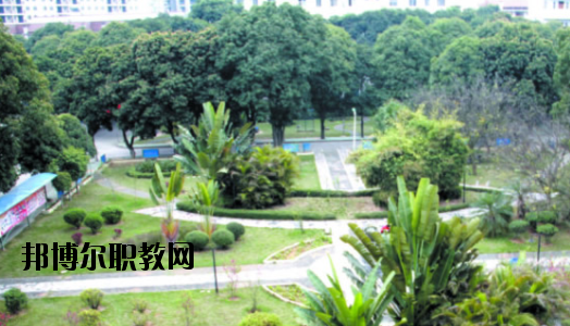 廣西百色農(nóng)業(yè)學(xué)校2020年報名條件、招生要求、招生對象 
