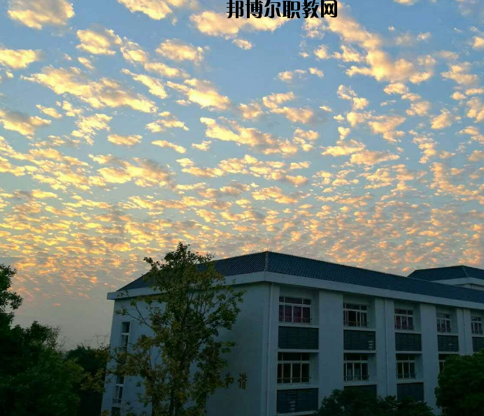 鄭州青年職業中等專業學校網站網址