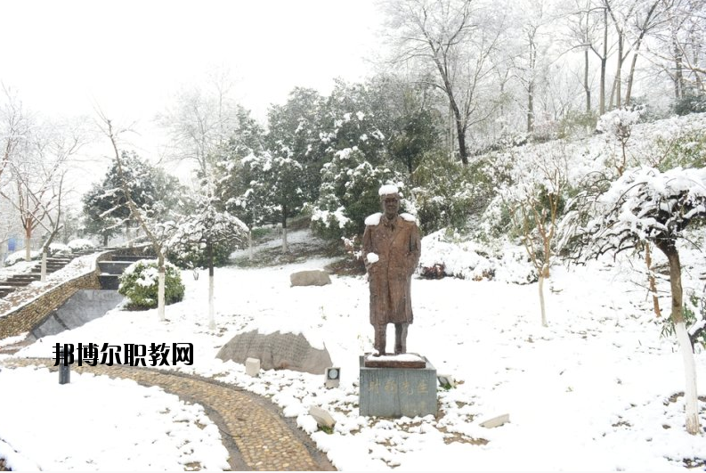 南京工業(yè)大學2020年報名條件、招生要求、招生對象