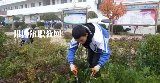 秦安縣古城農業中學怎么樣、好不好