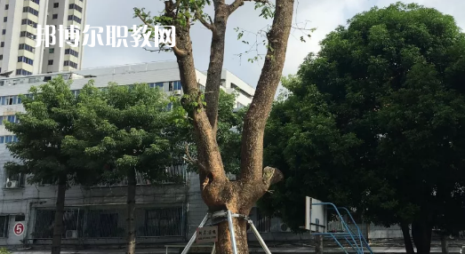 汕頭經貿職業技術學校2021年招生錄取分數線