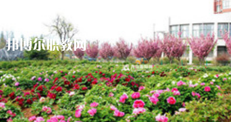 麻城木子店高級職業中學網站網址