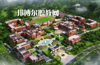 http://m.szqlzxyy.cn/uzyshfxx