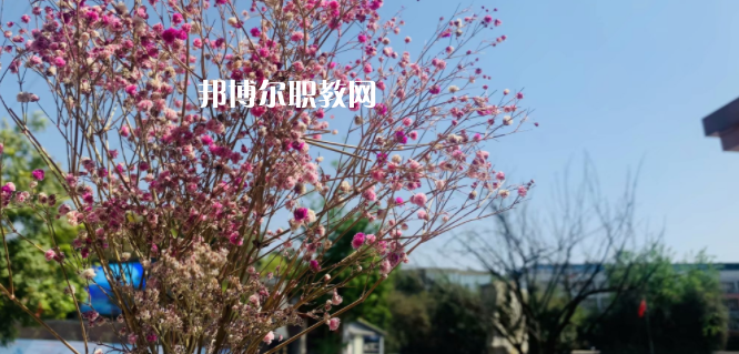 成都華大醫(yī)藥衛(wèi)生學校怎么樣、好不好