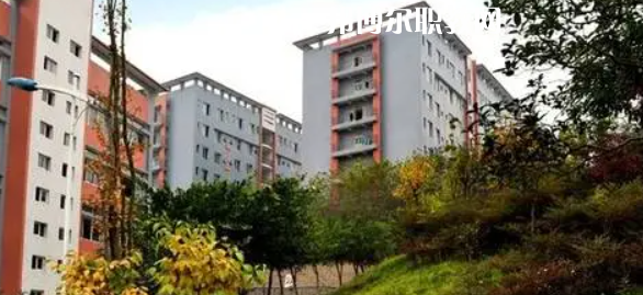 四川市綿竹職業(yè)中專學(xué)校2022年報(bào)名條件、招生要求、招生對象