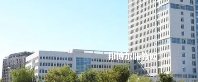 2023年山東省內(nèi)最好的高職?？拼髮W(xué)排名