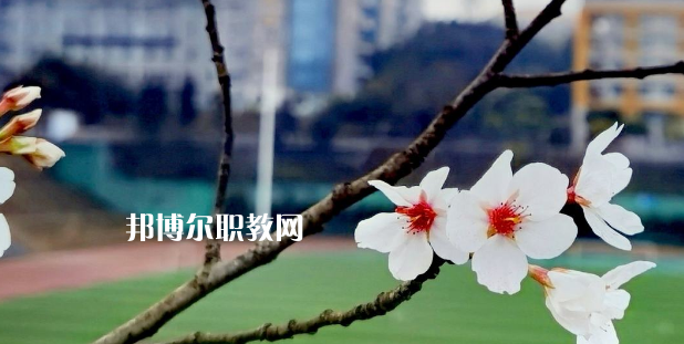 2023眉山技師學院招生計劃 招生人數是多少(附要求、條件、對象)