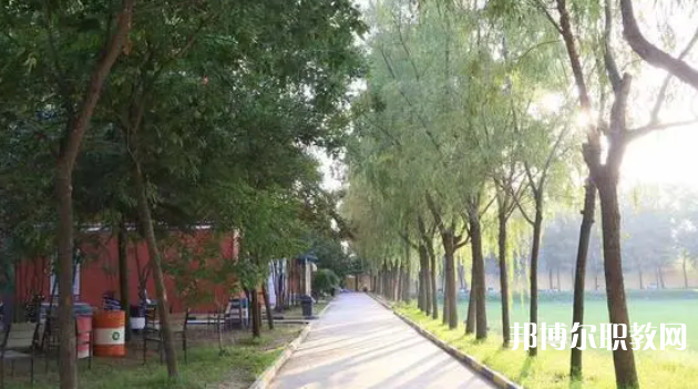 2023西安大中科技技工學(xué)校招生計(jì)劃 招生人數(shù)是多少(附要求、條件、對象)