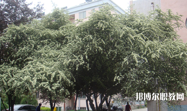 寶雞技師學(xué)院地址，乘車(chē)路線