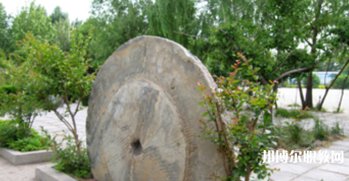 野風美術(shù)中學怎么樣、好不好